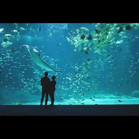 La Tiny House Camping