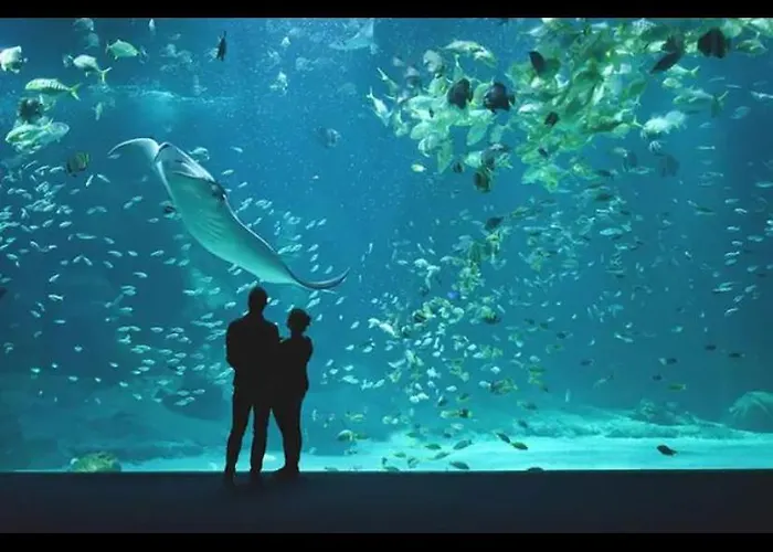 La Tiny House Campsite